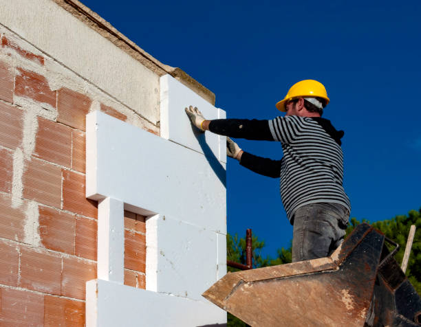 Best Energy-efficient Insulation  in San Diego Country Estates, CA
