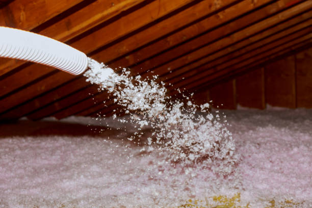 Best Spray Foam Insulation  in San Diego Country Estates, CA